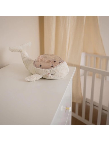 Tranquil Whale white