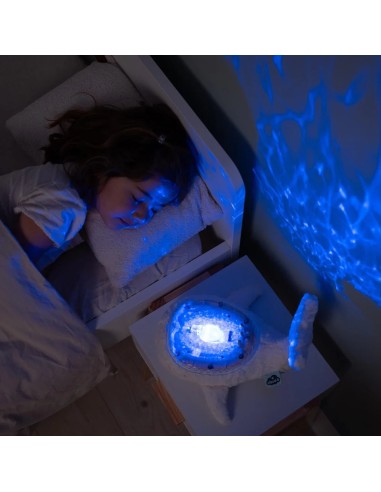 Tranquil Whale white