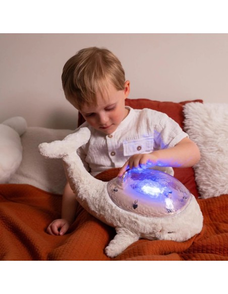 Tranquil Whale white