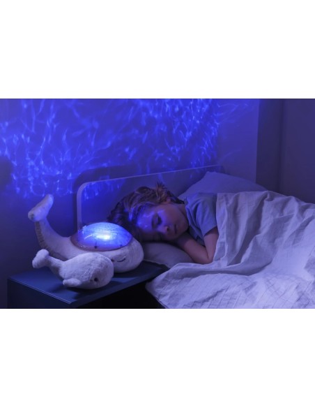 Tranquil Whale Family white