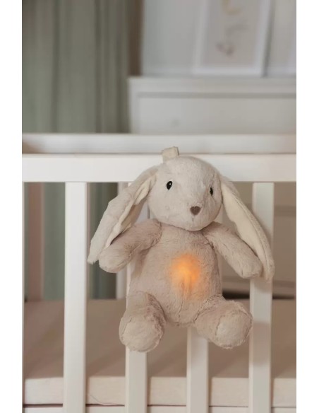 LoveLight Billy Bunny