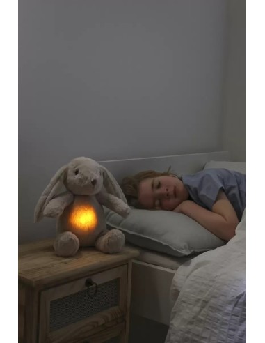 LoveLight Billy Bunny