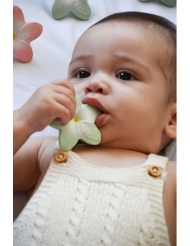 Mordedor Bali the Flower