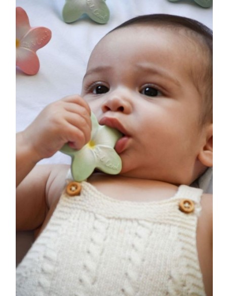 Mordedor Bali the Flower