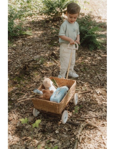 Set de maletas forest friends