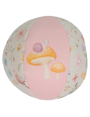 Pelota blandita fairy garden