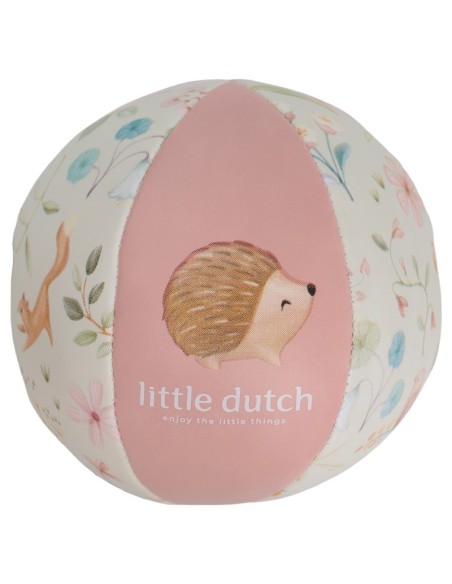 Pelota blandita fairy garden