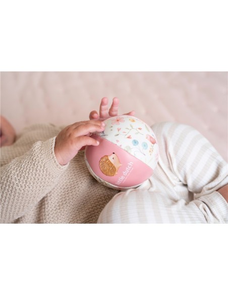 Pelota blandita fairy garden