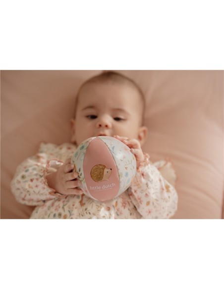 Pelota blandita fairy garden