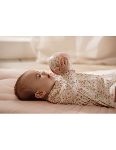 Pelota blandita fairy garden