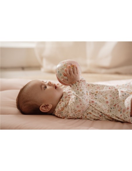 Pelota blandita fairy garden