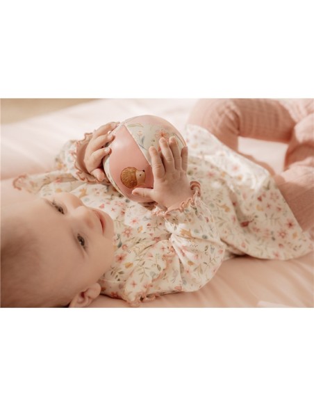 Pelota blandita fairy garden