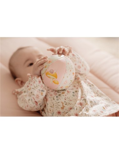 Pelota blandita fairy garden