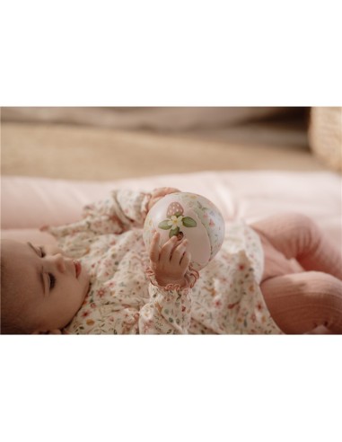 Pelota blandita fairy garden