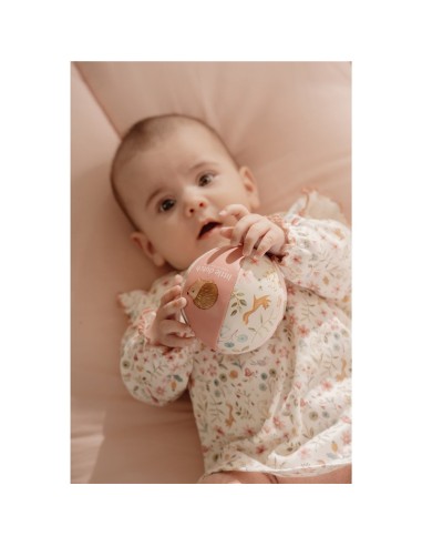 Pelota blandita fairy garden