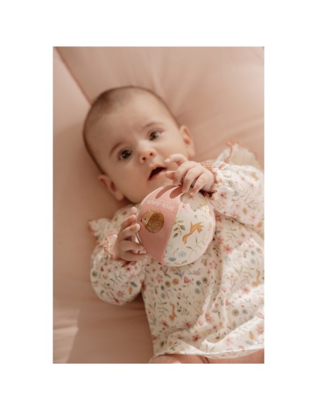 Pelota blandita fairy garden