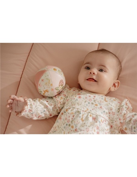 Pelota blandita fairy garden