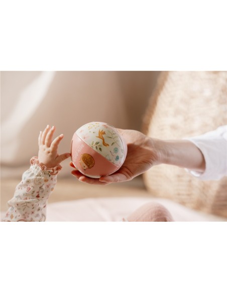 Pelota blandita fairy garden