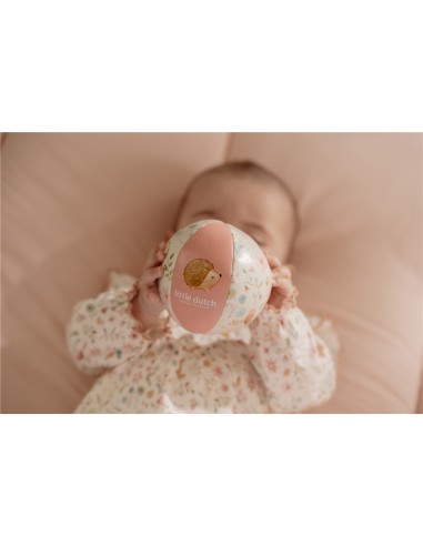 Pelota blandita fairy garden