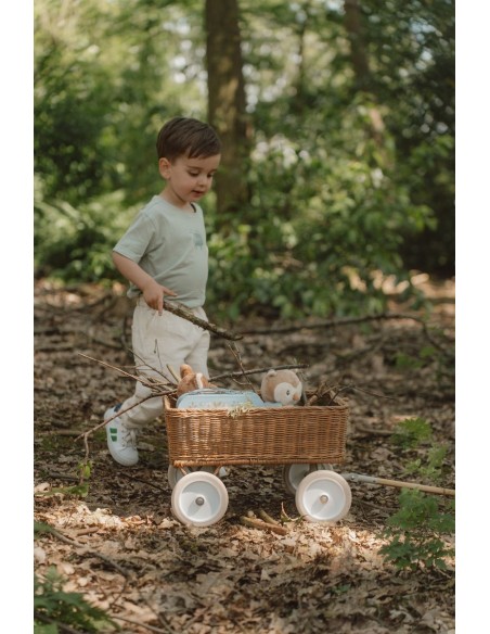 Búho forest friends