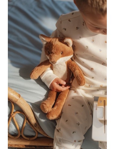 Zorro forest friends