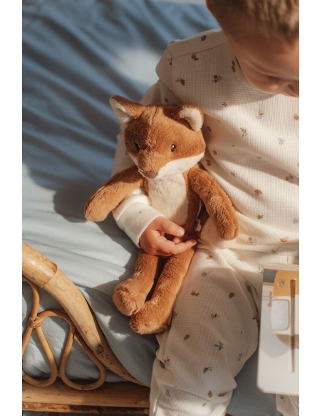 Zorro forest friends