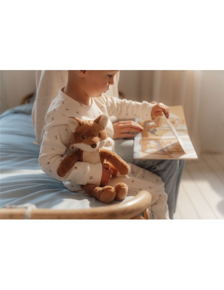 Zorro forest friends