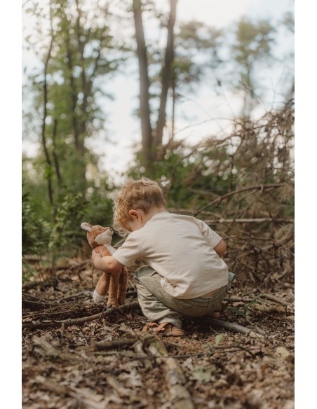 Zorro forest friends