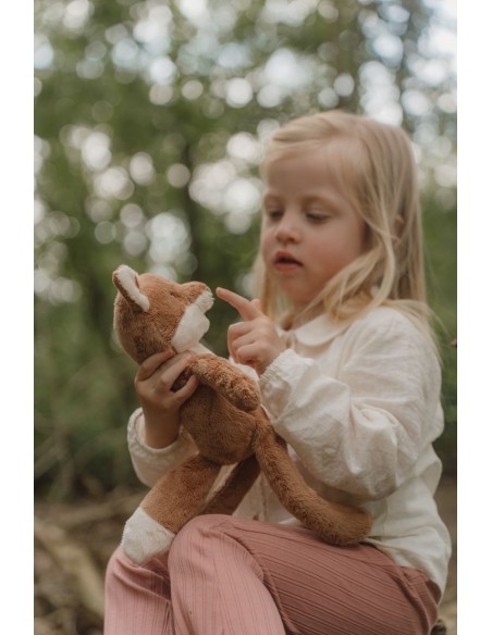 Zorro forest friends