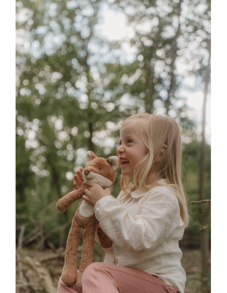 Zorro forest friends