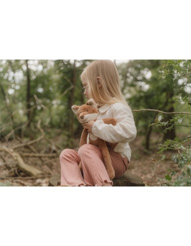 Zorro forest friends