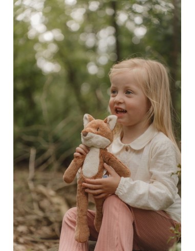 Zorro forest friends