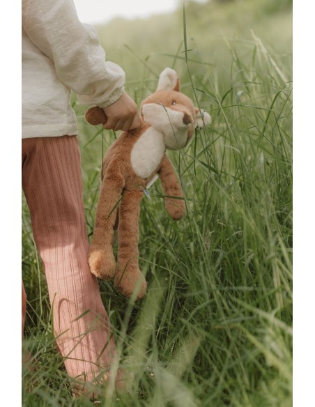 Zorro forest friends