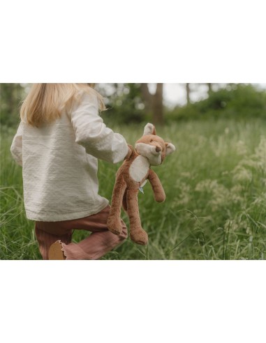 Zorro forest friends