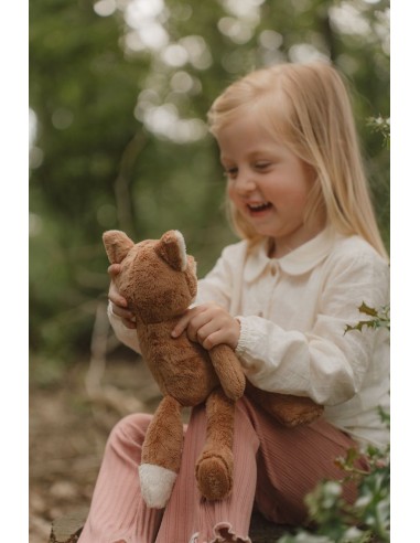 Zorro forest friends