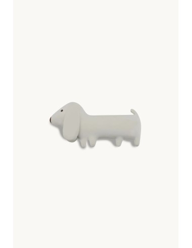 Gommu mini dog ocean