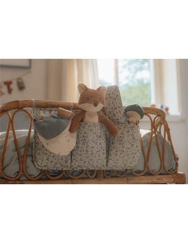 Zorro forest friends