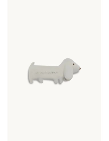 Gommu mini dog ocean