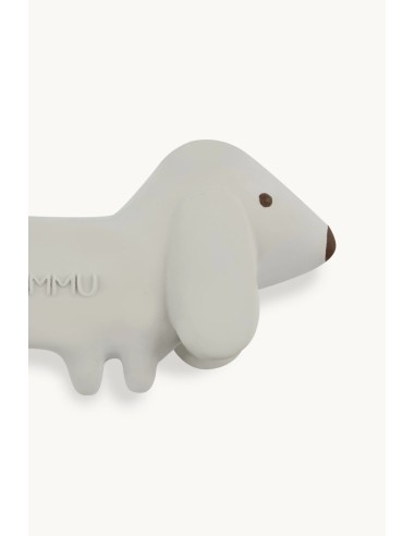 Gommu mini dog ocean