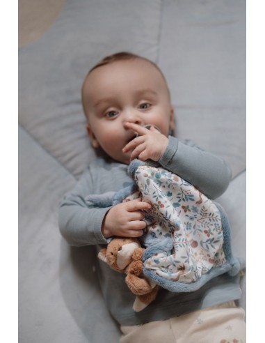 Doudou zorro forest friends