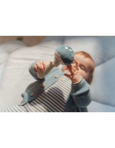 Sonajero seta forest azul