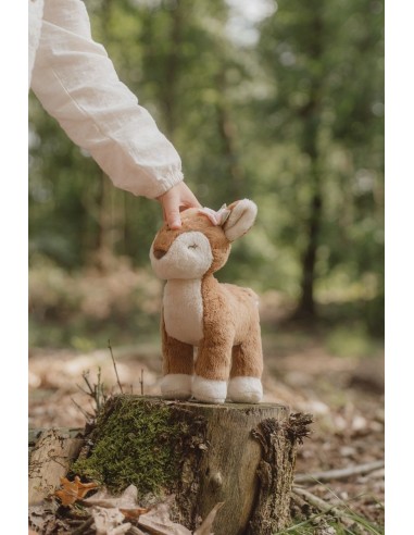 Ciervo fairy garden rosa