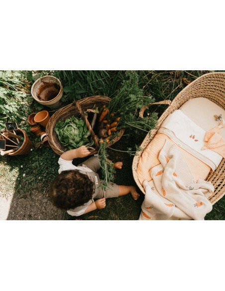 Manta de moisés faro teddy peach