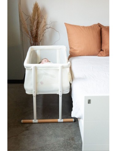 Minicuna evolux colecho