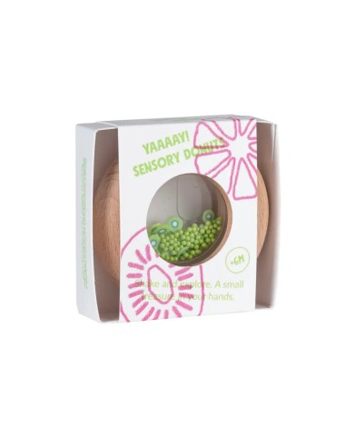 Sensory donuts kiwis