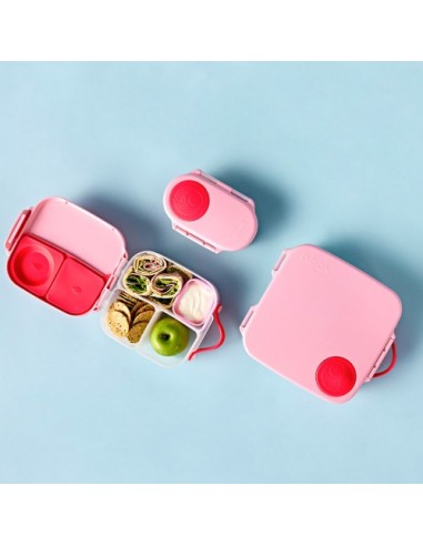 Mini Lunchbox Flamingo Fizz