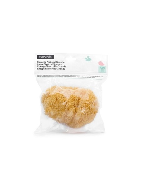 Esponja natural grande