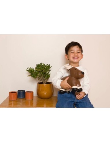 Animales musicales: Bruce el Alce