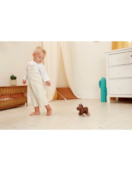 Animales para pasear: Bruce el Alce