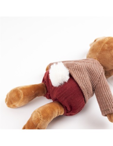 Conejo Lenny Musical